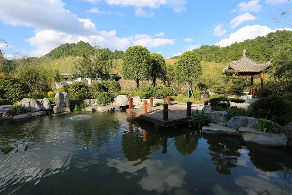 宁夏园在绿博园里邂逅梦中的西北风情