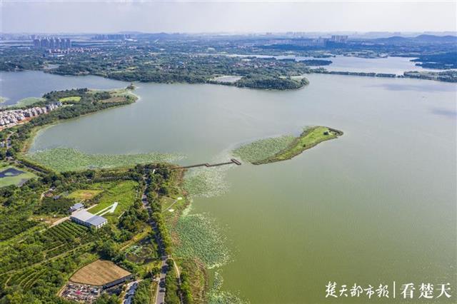 后官湖，一颗镶嵌在武汉西部的湿地明珠_腾讯新闻