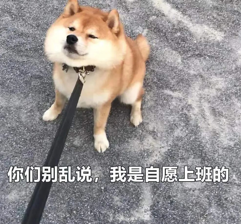 气象|入职季，几位气象前辈为新人送上“职场秘籍”！
