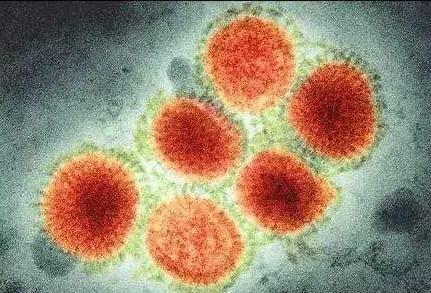 流感病毒|俄罗斯向世界宣布：正在攻克流感病毒，和新冠组合成一种疫苗