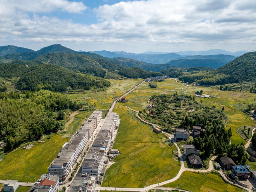 泰顺县三魁镇卢梨村