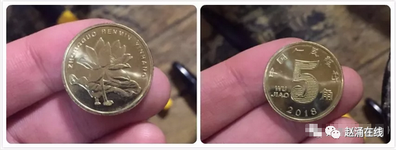 梅花五角硬币|梅花五角硬币将于10月退市？最高已涨30多倍！