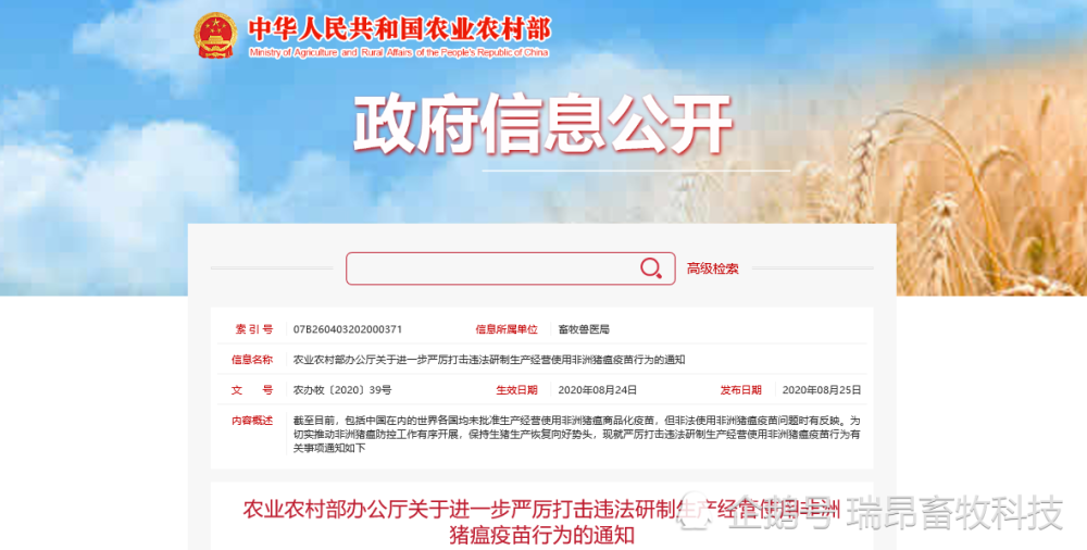 猪场|养猪常见三大误区，不注意损失百万