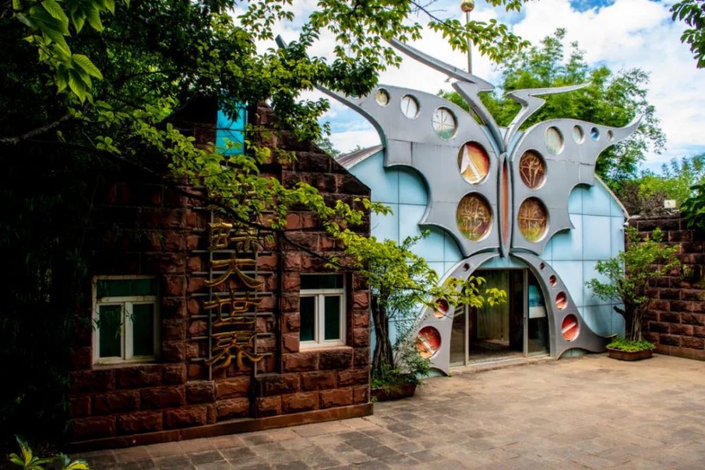 大理不见秋味,翠绿稻田低调入画,蝴蝶泉和洱海藏着清凉和欢乐!