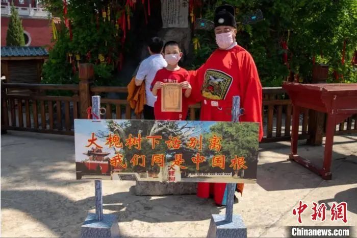 山西|游山西 读历史/洪洞大槐树，华夏儿女共同的“老家”