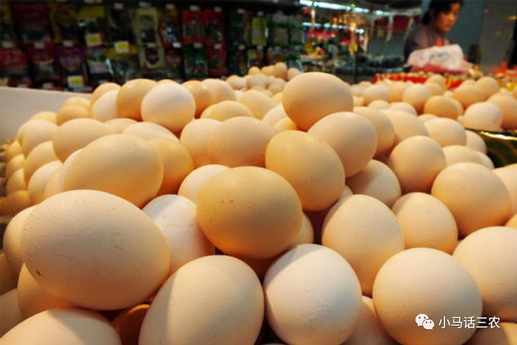 近期粮食 猪肉 鸡蛋 蔬菜价格大涨 什么原因导致 看完有数了 腾讯新闻