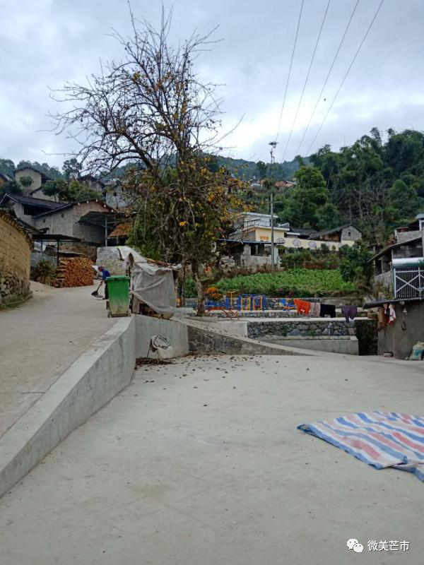 江东乡8月农村人居环境整治评比,你们村是"红"是"黑"?_腾讯新闻