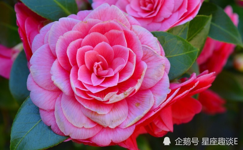 8月28日 9月1日星座运势 双子挑战自我 天蝎目标清晰 水瓶严于律己 腾讯新闻