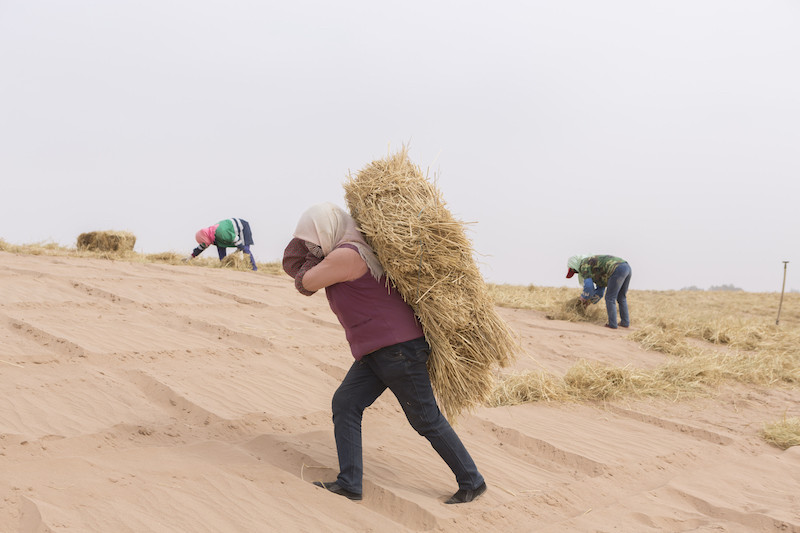 拯救出狱少年收养玉树地震孤儿他用相机记录这些非凡普通人