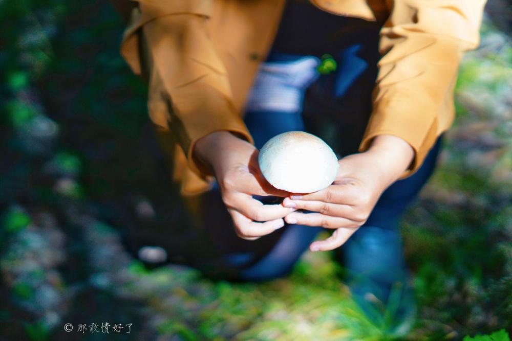 京北第一天路|山顶看晚霞，丛林采野花，天冷后封山，京北这条自驾线错过等一年