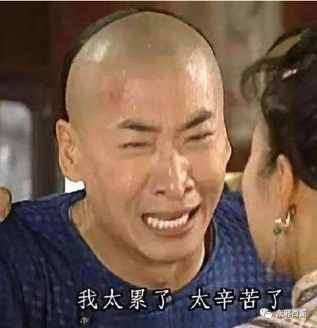 郑爽|又上热搜了，也太好笑太真实了吧