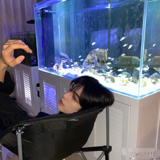 抖音|抖音宋威龙和厦大校草双双翻车？摘下滤镜，照骗团伙阵容日益壮大…