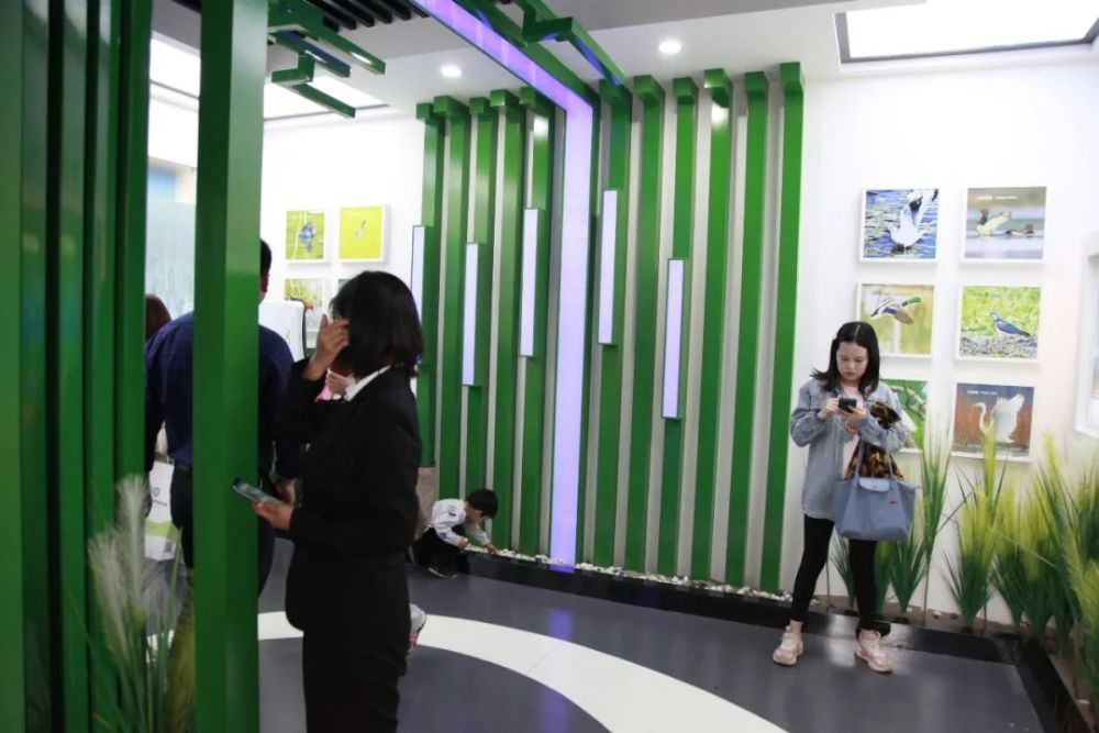 周边游 澧县全域旅游之景区景点篇 腾讯新闻