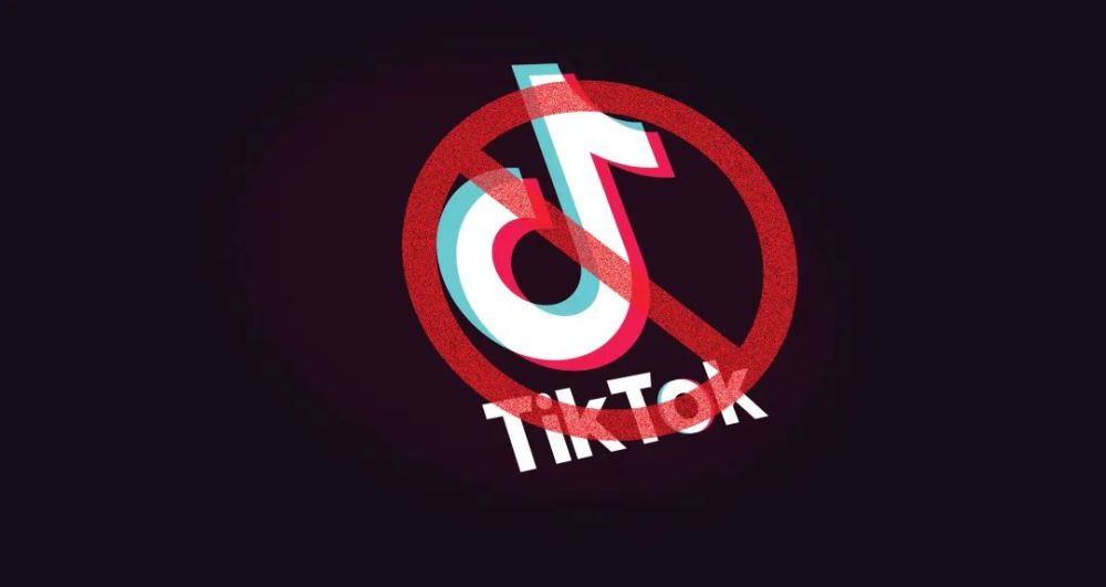 凯文·梅耶尔去职tiktok,继任者帕帕丝是谁?