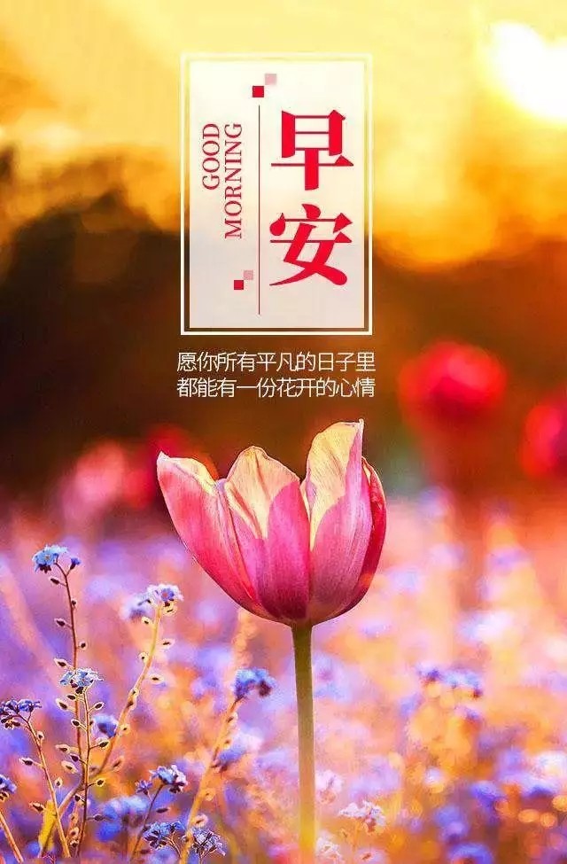 适合8月28日发朋友圈的早安句子