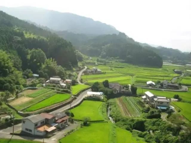 农村|在农村，做什么可以年赚20万？这4个项目潜力不错