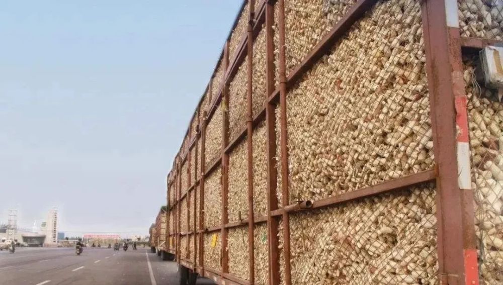 农村|在农村，做什么可以年赚20万？这4个项目潜力不错