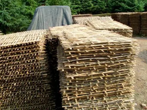 农村|在农村，做什么可以年赚20万？这4个项目潜力不错