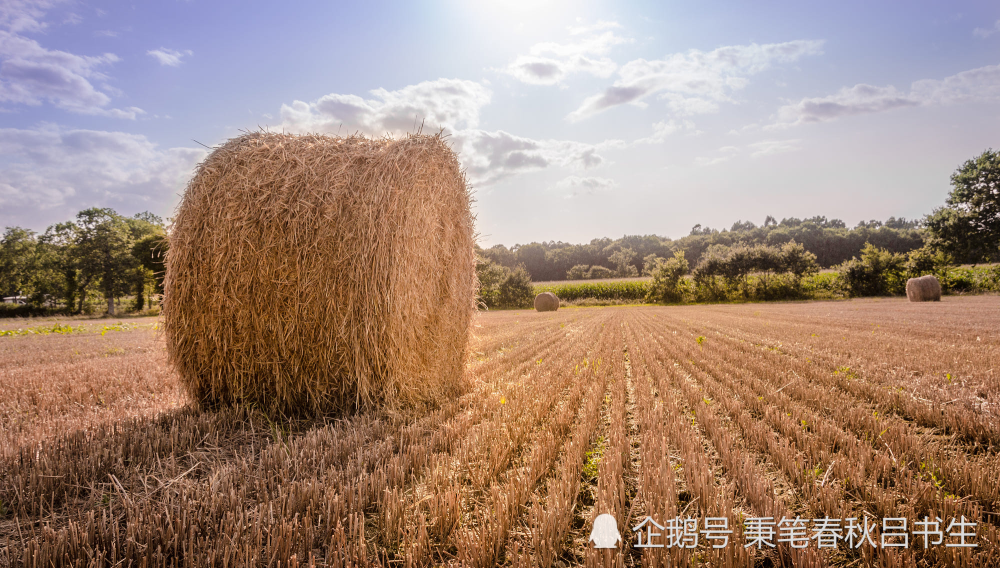 王冲 李严误我 一臣不事二主 腾讯新闻