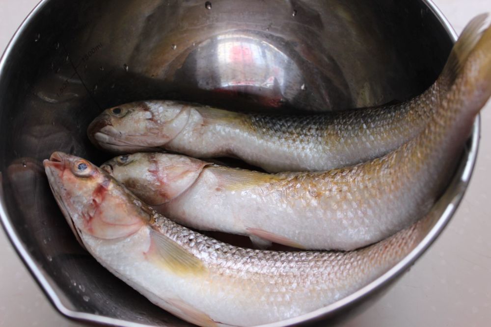 做法步骤:所用材料:梭鱼3条,豆腐1块,大蒜少许,葱,姜,盐,鸡精,香菜