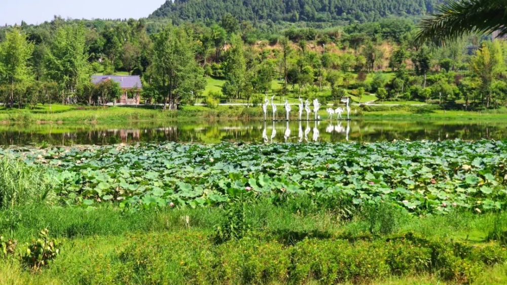 德湖生态公园是仪陇县规划建设的城市主景,也是4a级德园景区的一部分.