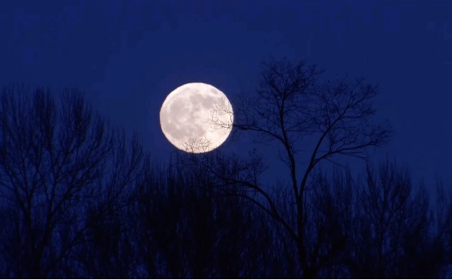 静夜思|脍炙人口的《静夜思》竟是改良后的版本？那么李白的原版是什么？