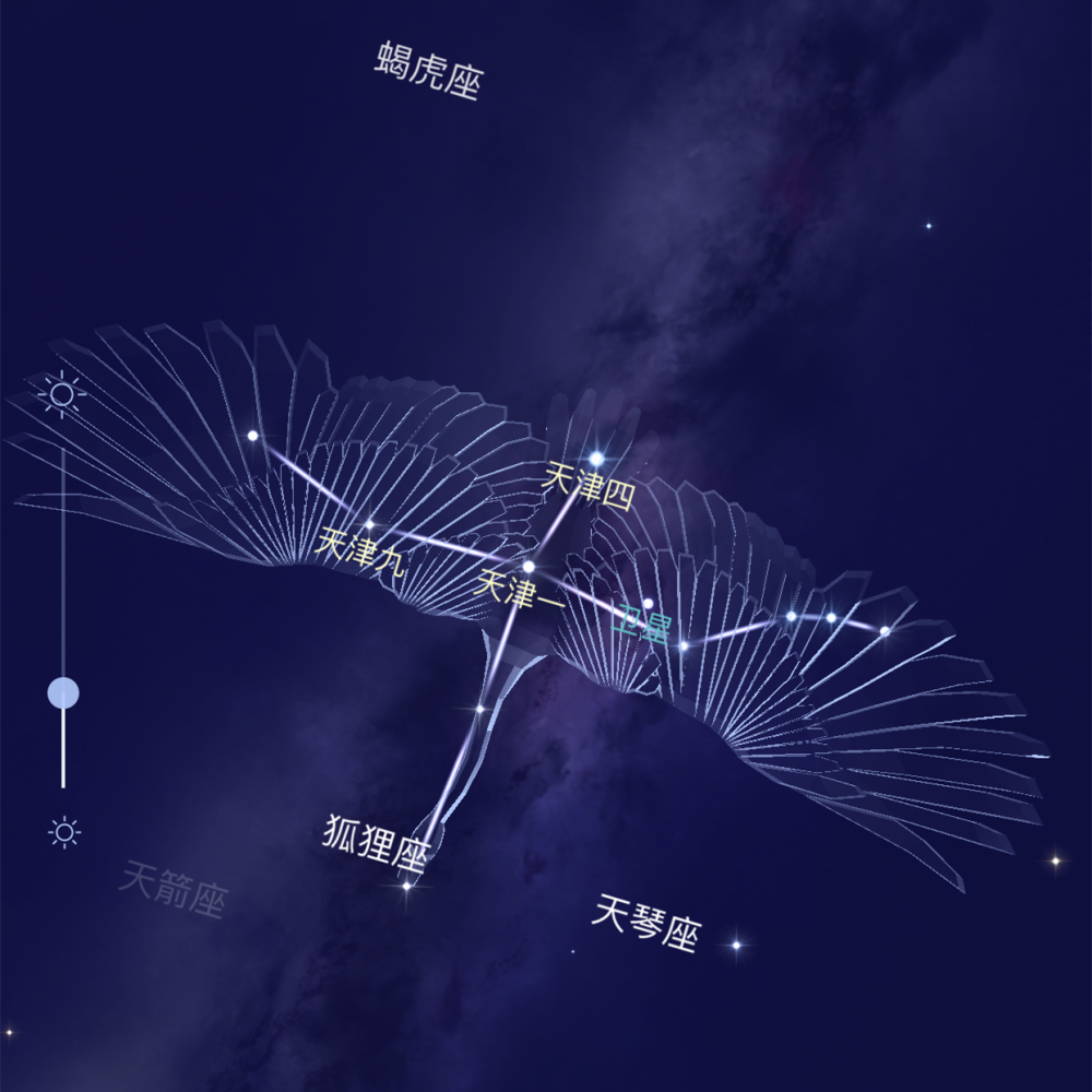 天鹅座 图源:star walk