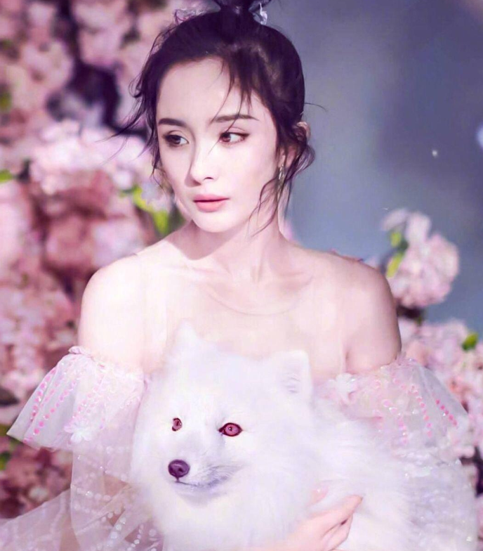杨幂|杨幂发布最新代言造型土气，被嘲“脸垮”硬凹少女感