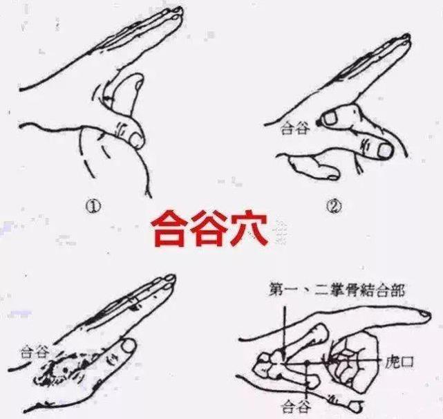 方法给爱猫的铲屎官们交流一下,希望能够让得抑郁症的猫咪们早日痊愈