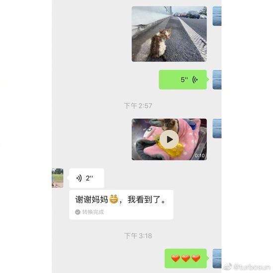 孙俪|孙俪与女儿为流浪动物设计衣服，她已坚持19年，用领养代替买卖