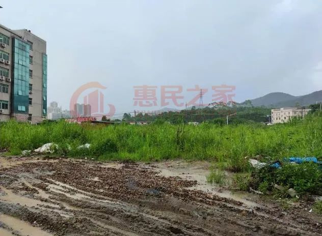 楼面价1366元 东新置业4412万竞得龙门纯住宅地 地块 住宅 龙城街道 青溪村 楼面价 龙门县