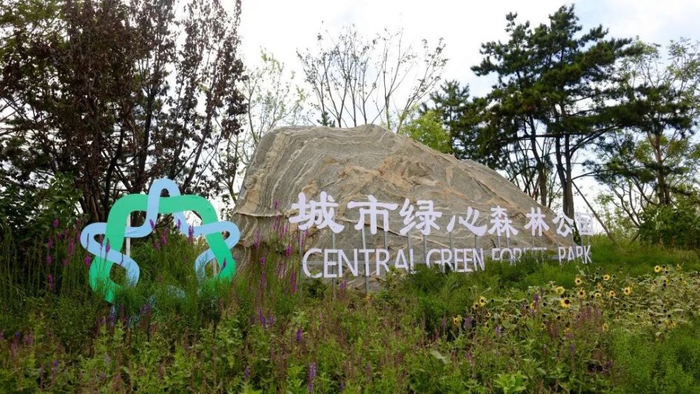 大运河|美爆了，城市绿心森林公园！