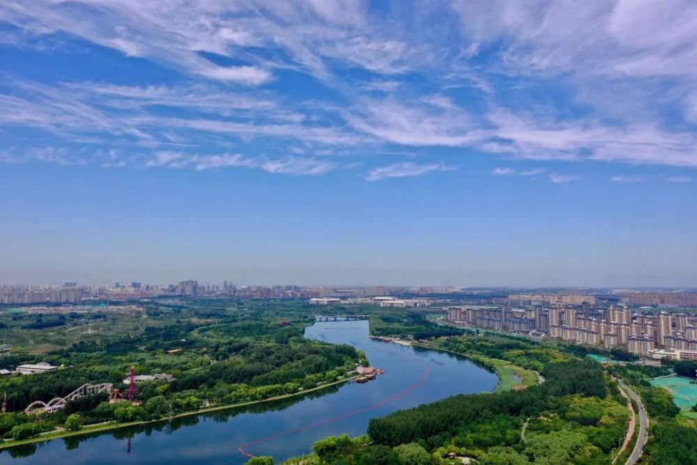 大运河|美爆了，城市绿心森林公园！