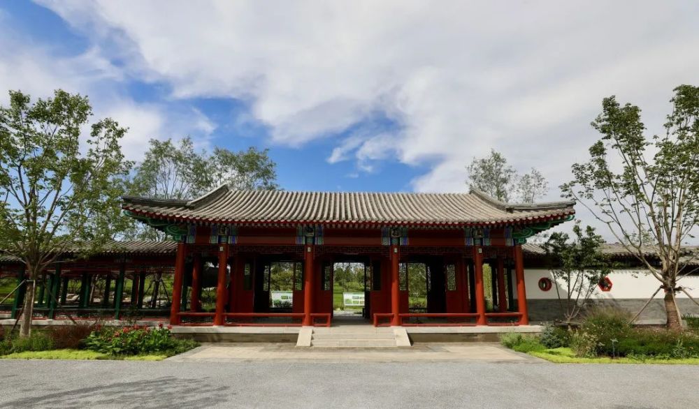大运河|美爆了，城市绿心森林公园！