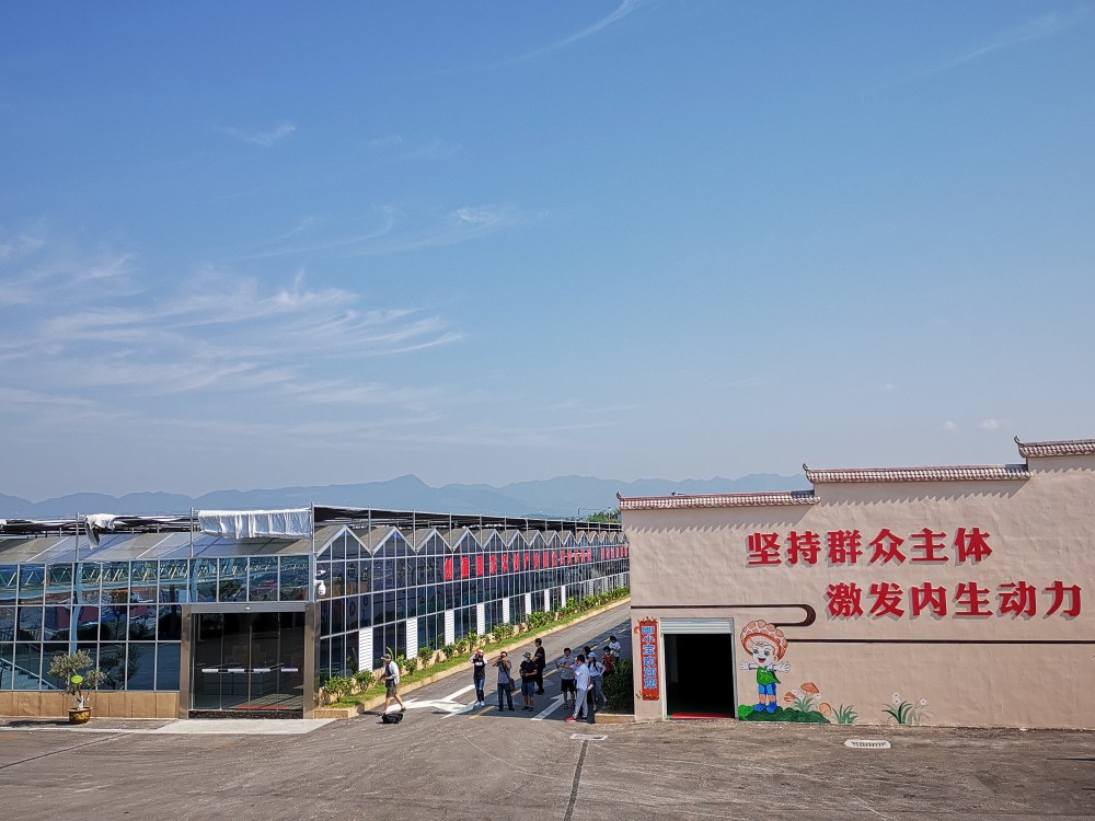 湖北郧阳香菇小镇托起扶贫大产业