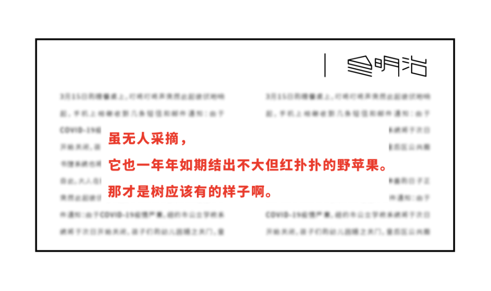苹果_植物|在新西兰，我曾每天给苹果们做体检