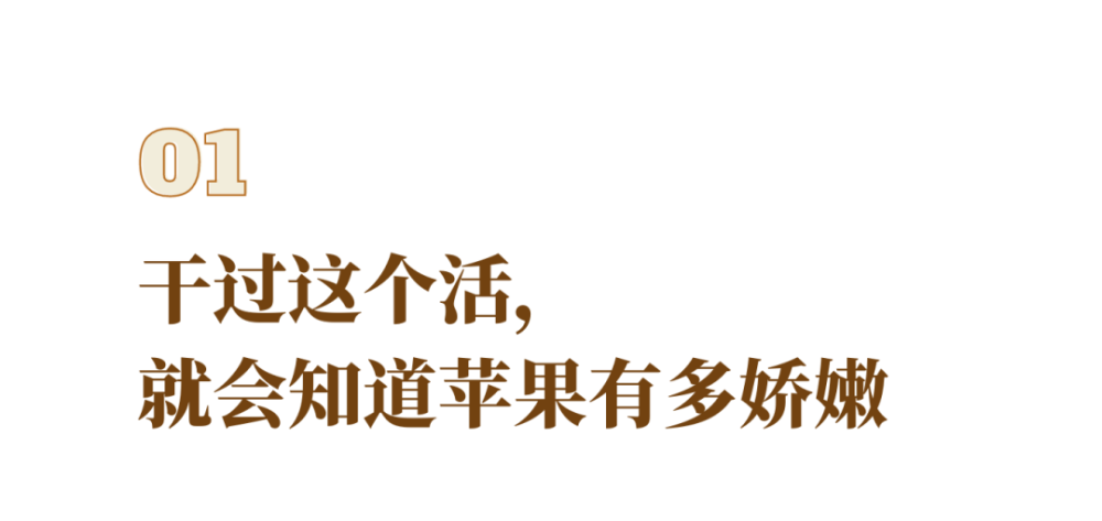 苹果_植物|在新西兰，我曾每天给苹果们做体检