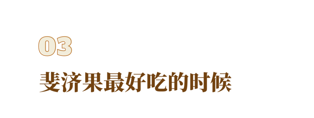 苹果_植物|在新西兰，我曾每天给苹果们做体检