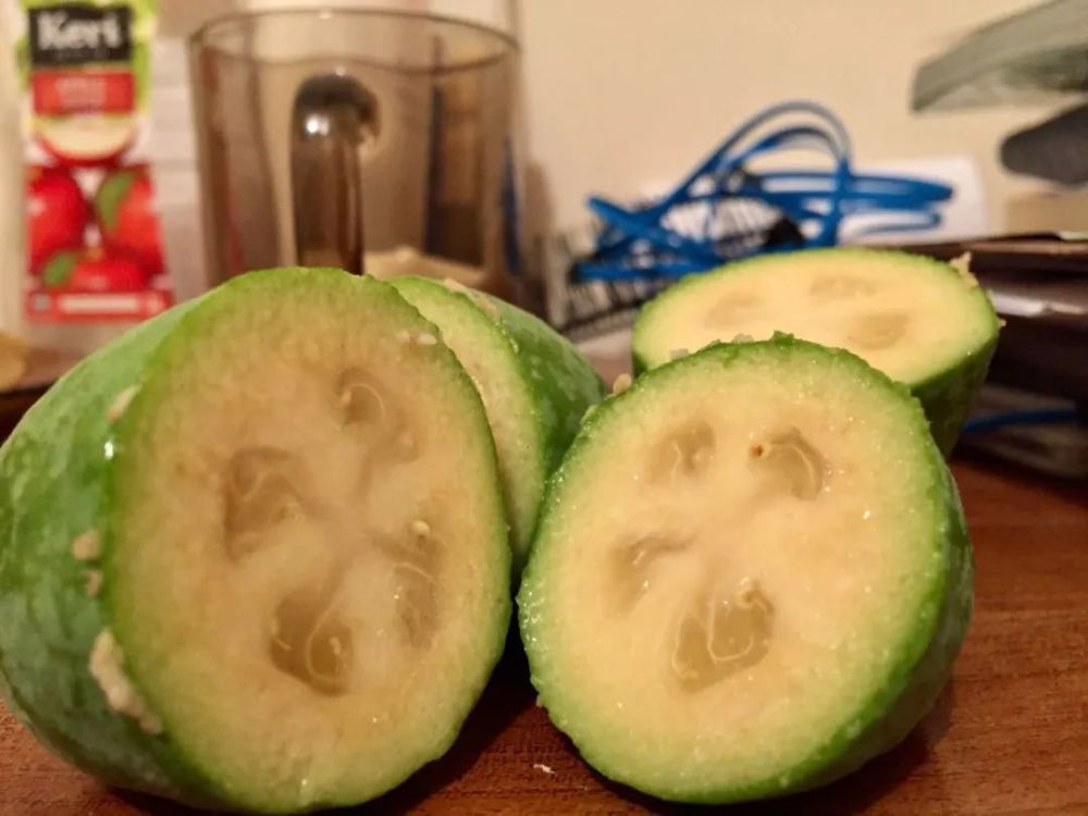 苹果_植物|在新西兰，我曾每天给苹果们做体检