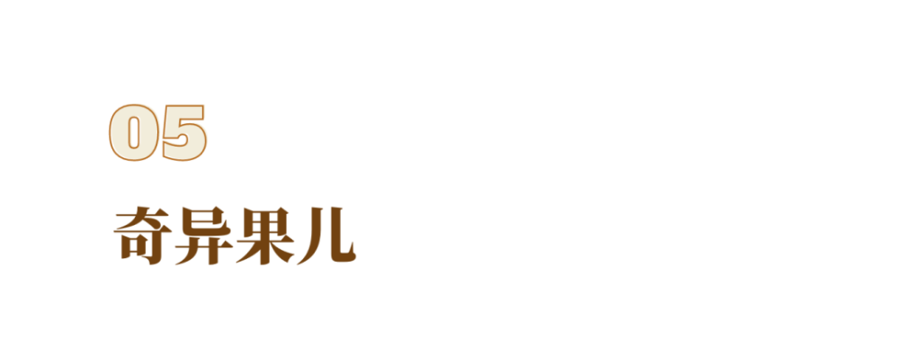 苹果_植物|在新西兰，我曾每天给苹果们做体检