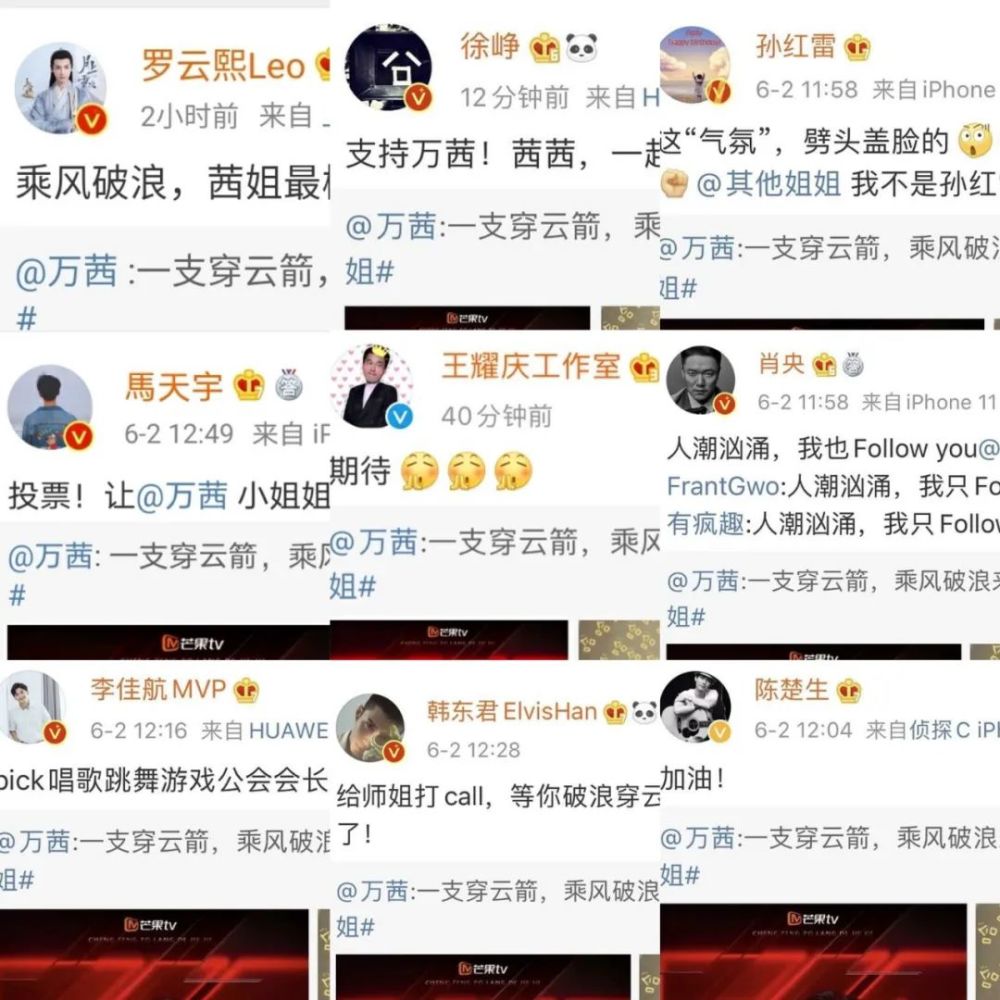 江疏影|万茜李沁江疏影，全都红不了？