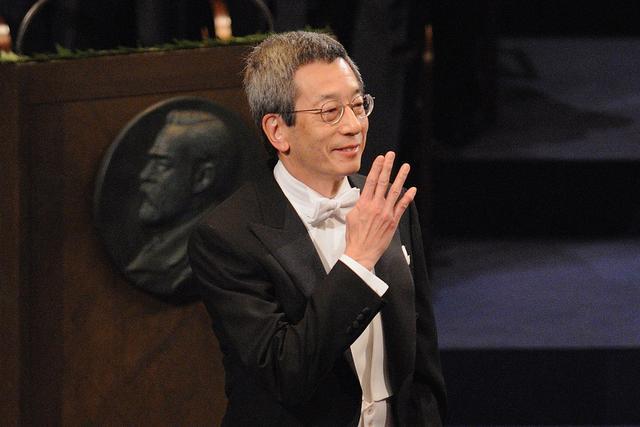 11位获得诺贝尔奖的华人