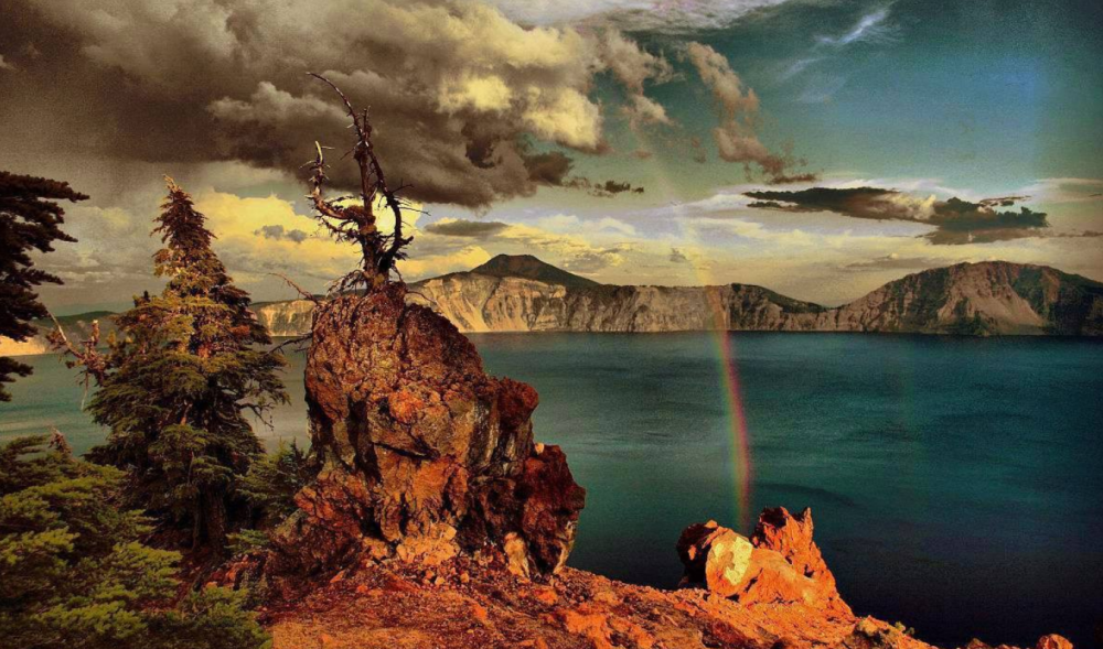 科学家|科学家发现2300万年前的“树叶”！给人类提了个醒？