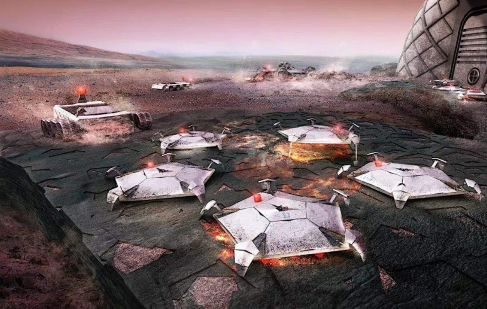 科学家|科学家发现2300万年前的“树叶”！给人类提了个醒？