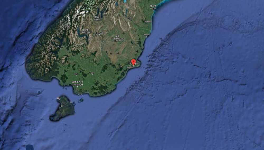 科学家|科学家发现2300万年前的“树叶”！给人类提了个醒？