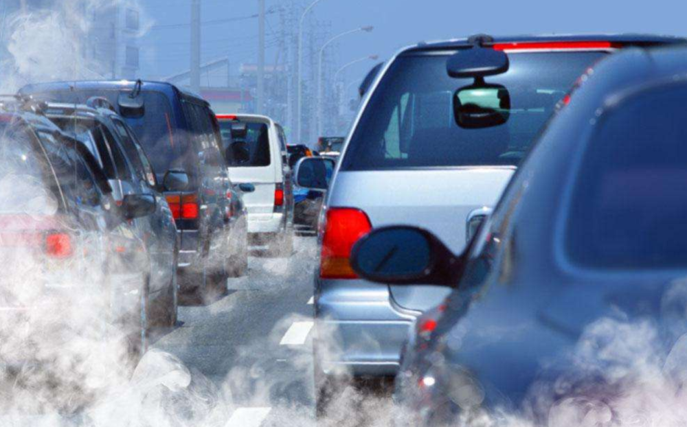 科学家|科学家发现2300万年前的“树叶”！给人类提了个醒？