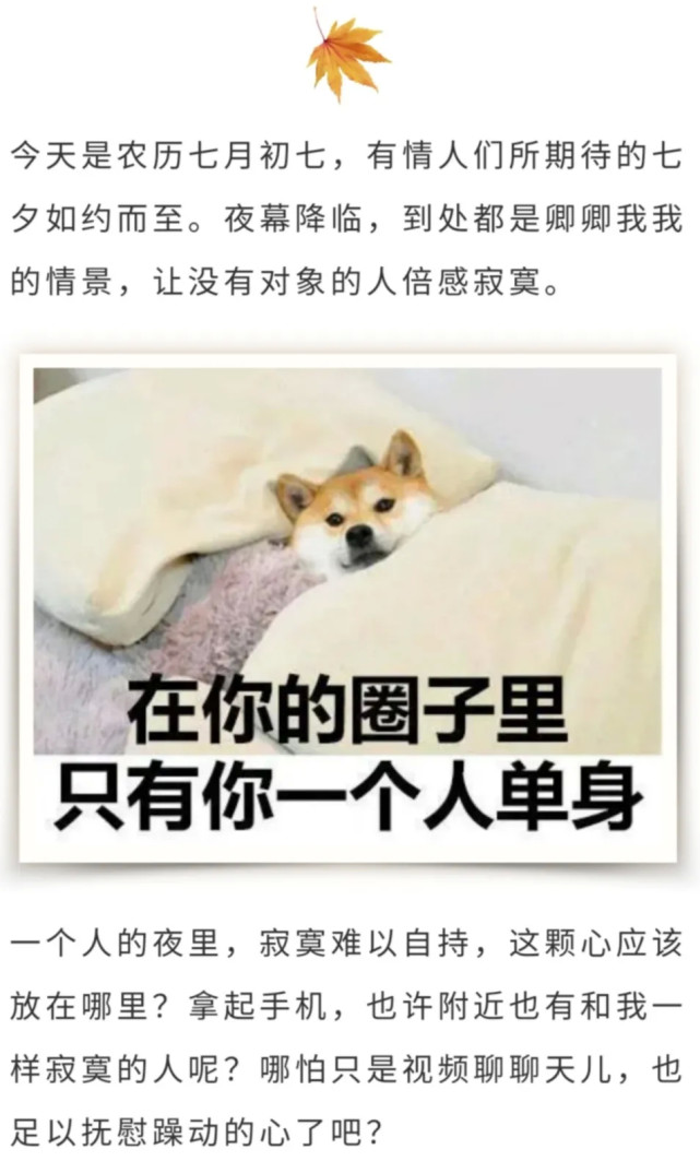 裸聊|七夕之夜,再寂寞也别碰裸聊!