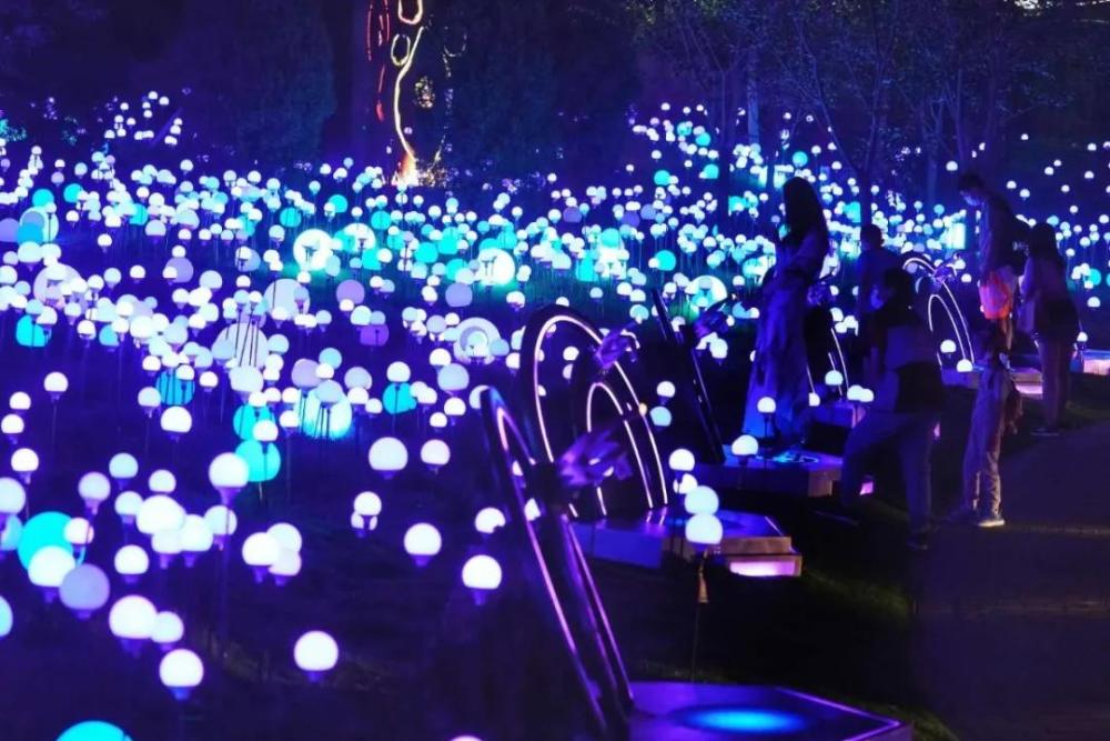 夜间经济|“夜经济”点燃烟火气