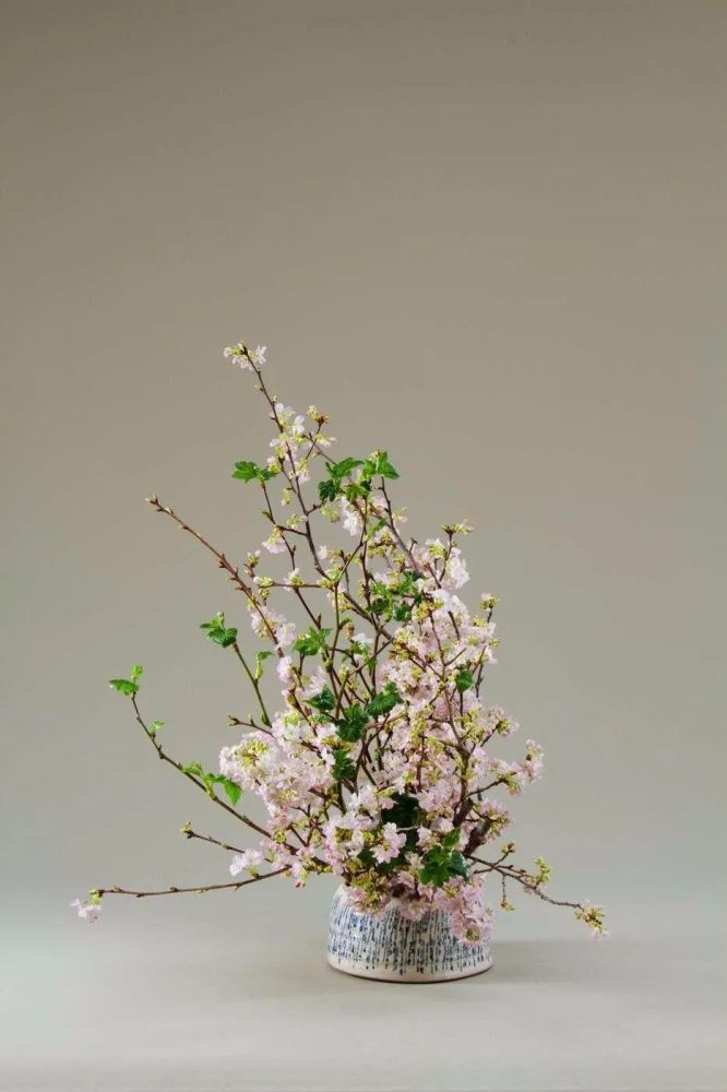 日本主要花道流派