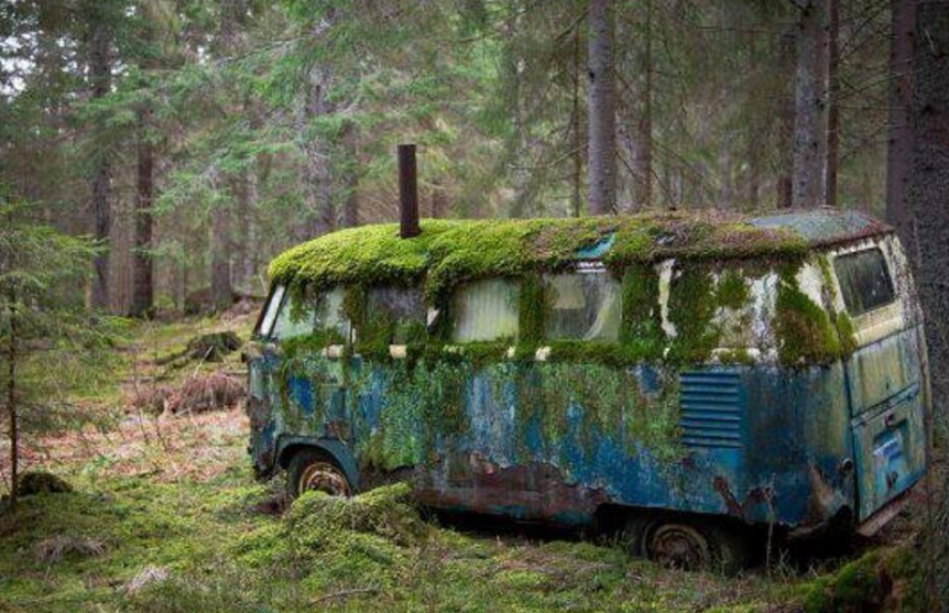 地球|人类离开1亿年，如果有新的文明出现，他们能发现我们存在过吗？